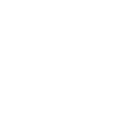 Coach Vyking