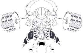 Coach Vyking