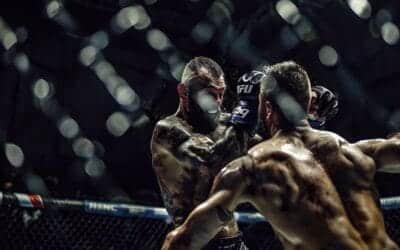 Quel est le but du MMA ?