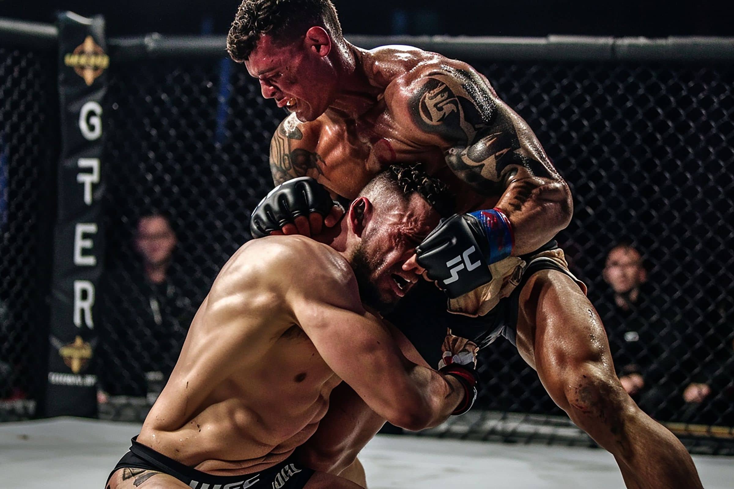 mma sport de combat